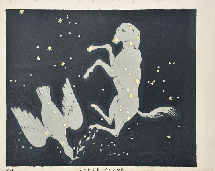 Charles Blunt (1803–1878) – Canis Major – Hand-Coloured Lithograph (c.1820s)
