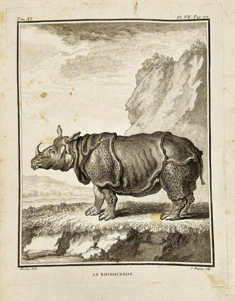 Jacques de Sève – Le Rhinocéros – Copperplate Engraving from Buffon’s “Histoire Naturelle” (18th Century)