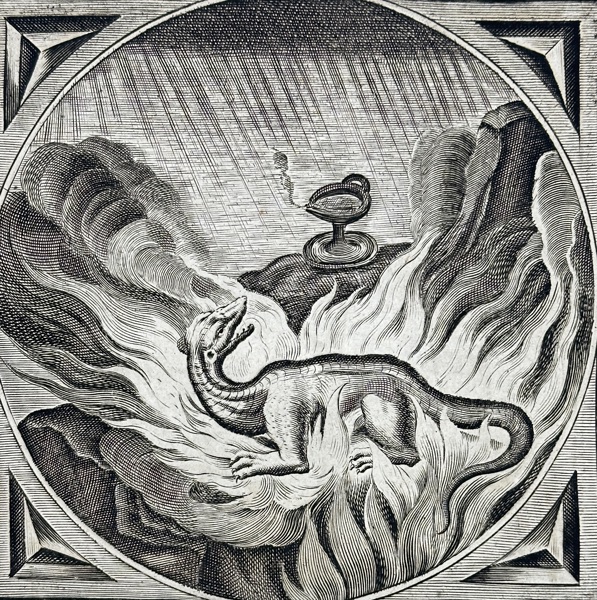 Adriaen Pietersz. van de Venne (1589–1662) – The Salamander in Flames – Engraving (1655)