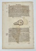 Conrad Gessner (1516–1565) – De Anatibus Platyrrhynchis – Woodcut Illustration (16th Century)