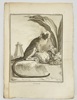 Jacques de Sève (18th Century) – Le Pinche – Engraving – Natural History Illustration of a Monkey