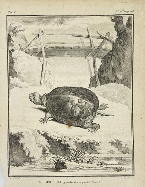 Jacques de Sève (active 1740–1788) – La Bourbeuse – Original Copperplate Engraving – 18th Century