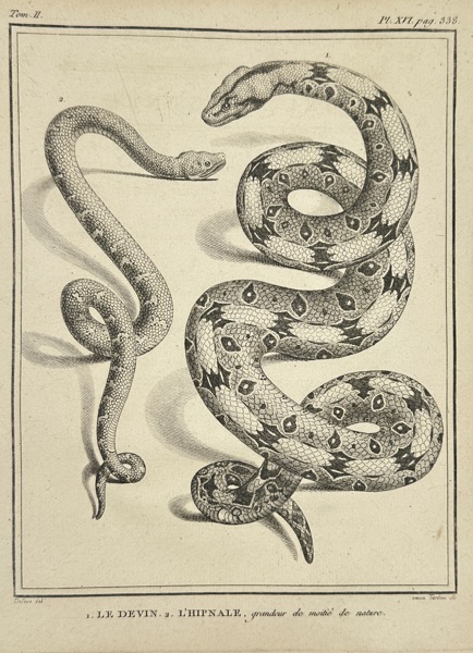 Jacques de Sève (active 1740–1788) – Le Devin et l’Hipnale – Original Copperplate Engraving – 18th Century
