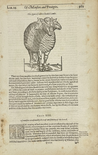 Ambroise Paré – The Figure of a Three-Headed Lamb – Woodcut Illustration – 17th Century