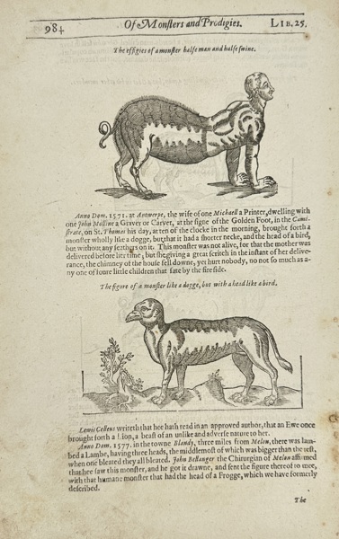 Ambroise Paré – Effigies of Monsters – Woodcut Illustrations – 17th Century