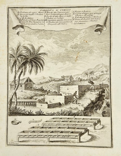 Giovanni Maria Cassini (1745–1824) – Fabbrica d’Indaco – Copperplate Engraving
