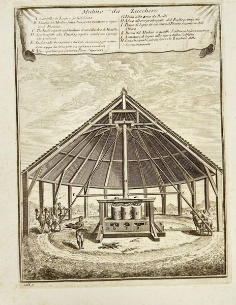 Giovanni Maria Cassini – Mulino da Zucchero – Copperplate Engraving from Gazetti