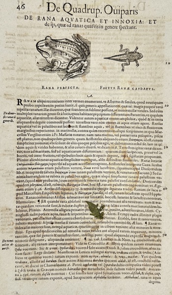 Conrad Gessner (1516–1565) – On Frogs and Oviparous Quadrupeds from History of Animals Book II: Of Oviparous Quadrupeds – Woodcut (1554)
