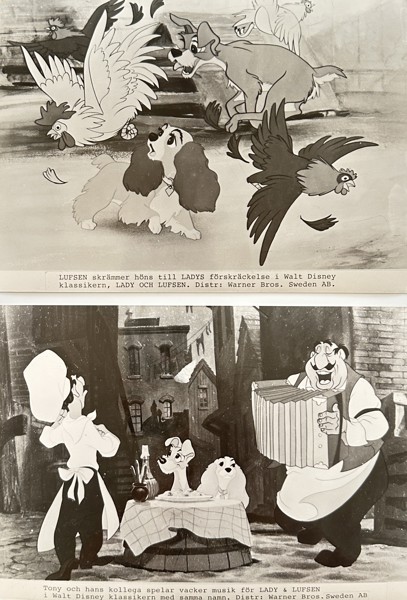 Set of 2 Press Photos - Stills from Film 'Lady and the Tramp'