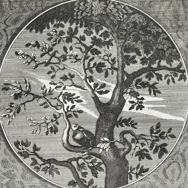 Jacob Cats (1577–1660) – Repete (Repeat), Emblem VII – Engraving (1637)