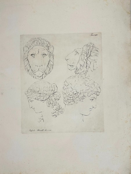 Giocondo Albertolli – Study of Lion and Human Heads - Large Antique Aquatint