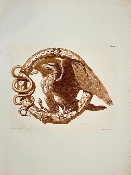 Raffaele Albertolli – Eagle and Snake on a Laurel Wreath - Large Antique Aquatint 