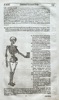 5969a_8ddcab4ac136875_sm.jpeg