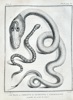 6067a_8ddd6690aea3ab6_sm.jpeg