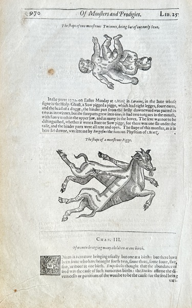 Ambroise Paré (1510–1590) – Of Monsters and Prodigies: Conjoined Twins and Monstrous Pig – Engraving (1573)