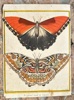 6089b_8ddd66ace173201_sm.jpeg