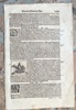 6111c_8ddd6727bf38f7e_sm.jpeg