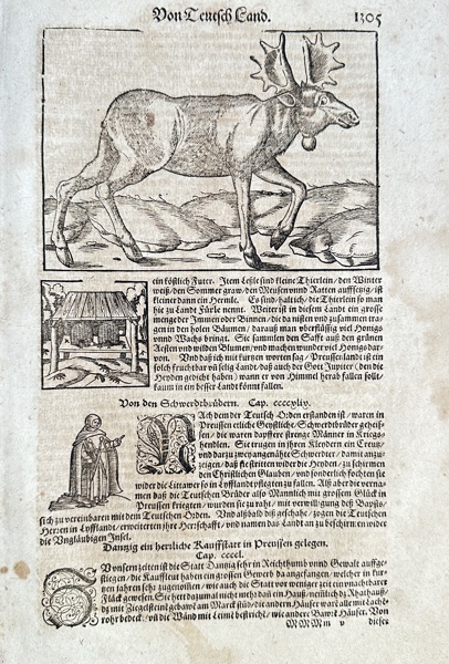 Sebastian Münster (1488–1552) – The Moose (Elk) – Woodcut (c. 1544-1628)