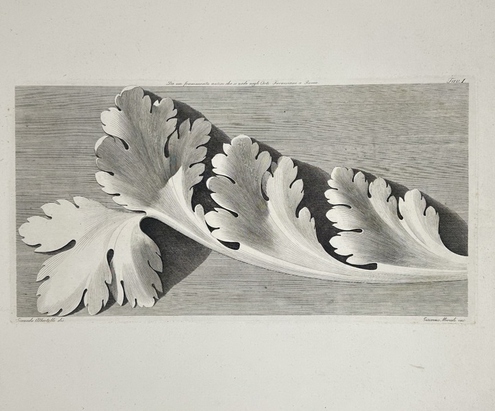 Giocondo Albertolli (1742–1839) – Acanthus Ornament Study – Engraving (Late 18th Century)