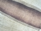 6543b_8dde09731a10d0b_sm.jpeg