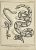 6720a_8dde1558e927aa3_sm.jpeg