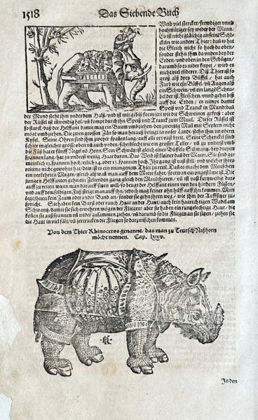 Conrad Gesner (1516–1565) – Illustrations of an Elephant and an Armored Rhinoceros – Woodcut (1563)