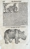 Conrad Gesner (1516–1565) – Illustrations of an Elephant and an Armored Rhinoceros – Woodcut (1563)