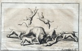 Johann Christoph Haffner (1734–1801) – A Bull Attacked by Dogs – Engraving (c. 1760)