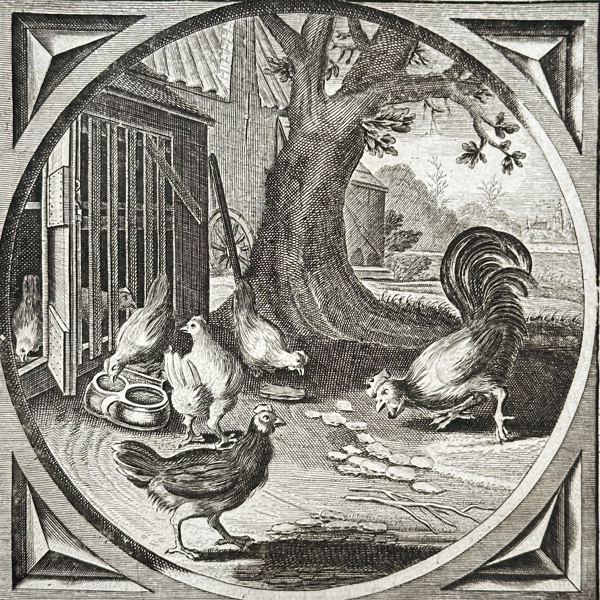 Jacob Cats (1577–1660) – Chickens and Rooster – Engraving (c. 1655)