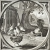 Jacob Cats (1577–1660) – Chickens and Rooster – Engraving (c. 1655)