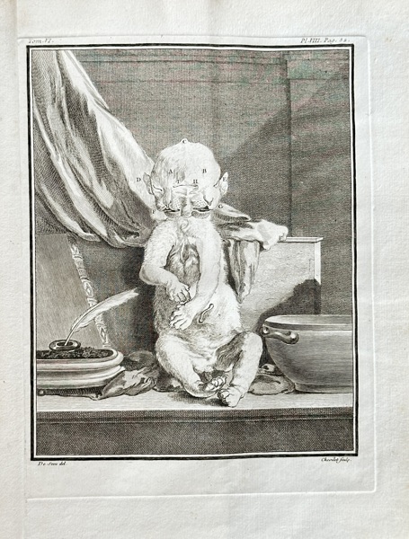 Georges Louis Leclerc, Comte de Buffon (1707–1788) and De Sève (active 1750–1780) and Chenard (active 1760–1780) – Gibbon – Engraving (1766)