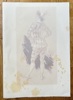 Henri Boutet (1851–1919) – Harlequin – Lithograph (c. 1895-1900)