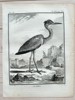 Georges Louis Leclerc, Comte de Buffon – Le Héron (The Heron)
