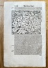 Sebastian Munster (1488–1552) – Germany - Antique Region of the Allgäu in Swabia & Bavaria – Woodcut (1598)