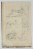 Frederick de Wit – Studies of Hares and Comparative Anatomy – Copperplate Engraving