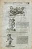 Ambroise Paré (c. 1510–1590) – Of Monsters and Prodigies (Human Anatomical) - Engraving