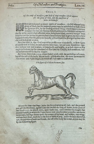 Ambroise Paré (c. 1510–1590) – The Figure of a Colt with a Man's Face - Woodcut