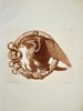 Raffaele Albertolli – Eagle and Snake on a Laurel Wreath - Large Antique Aquatint 