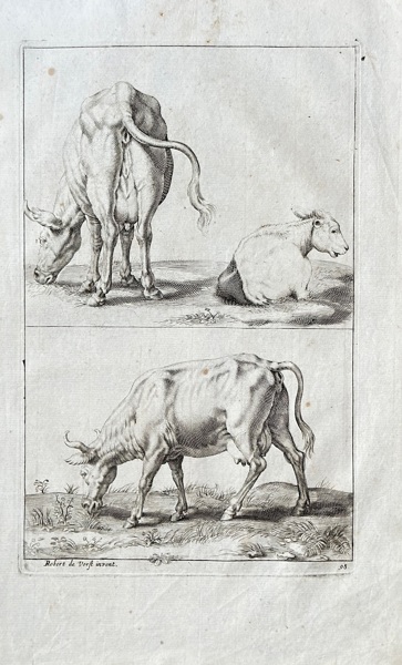 Robert de Vorst (1597–1647) and Crispijn van de Passe the Younger (c. 1594–c. 1670) – Studies of Cows – Engraving (c. 1620)
