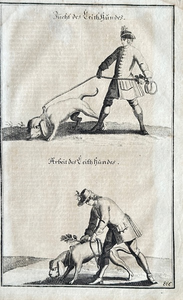 Johann Elias Ridinger (1698–1767) – The Training and Work of a Leash Hound – Engraving (c. 1740)