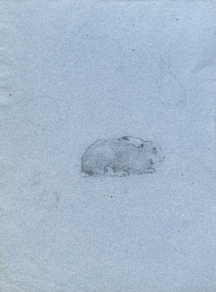 Unknown Artist – Untitled (Rabbit) – Crayon on blue paper (Circa 1980)