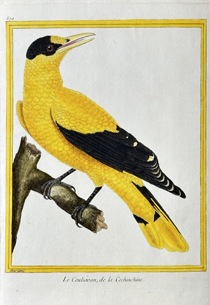 François-Nicolas Martinet (1731-circa 1800) – Le Coulavan, de la Cochinchine (The Coulavan, from Cochinchina) – Hand-coloured Engraving (circa 1770-1783)