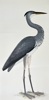 Olof Rudbeck the Younger (1660-1740) – Grey Heron – Facsimile print printed on quality paper