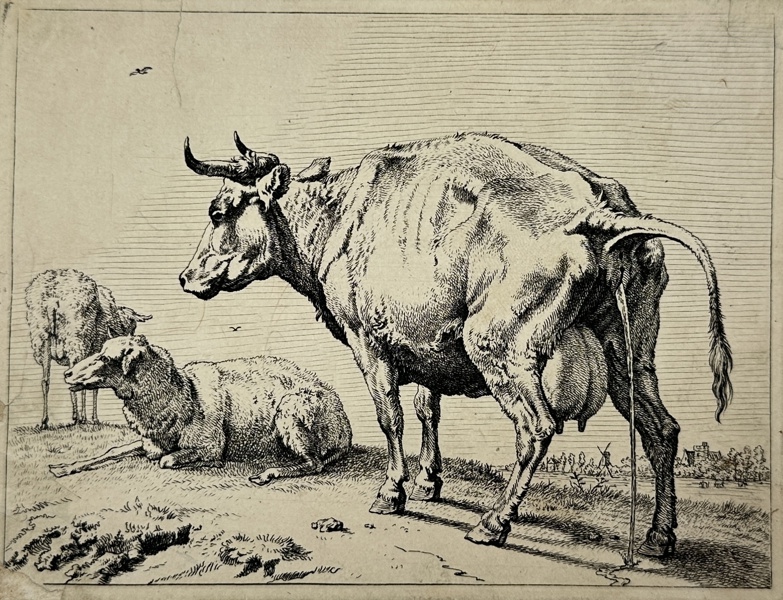 Paulus Potter (1625–1654) - Etching - Pissing Cow - 1650