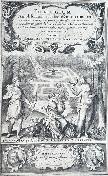 Emanuel Sweerts (1552–1612) – Allegorical Title Page for Florilegium Amplissimum et Selectissimum (The Most Copious and Select Florilegium) – Engraving (1641)