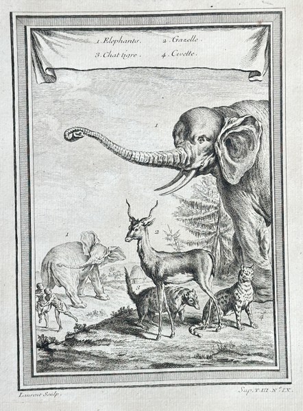 Antoine-François Prévost (1697–1763) – African Mammals, Including Elephant, Gazelle, and Civet – Engraving (Circa 1747)