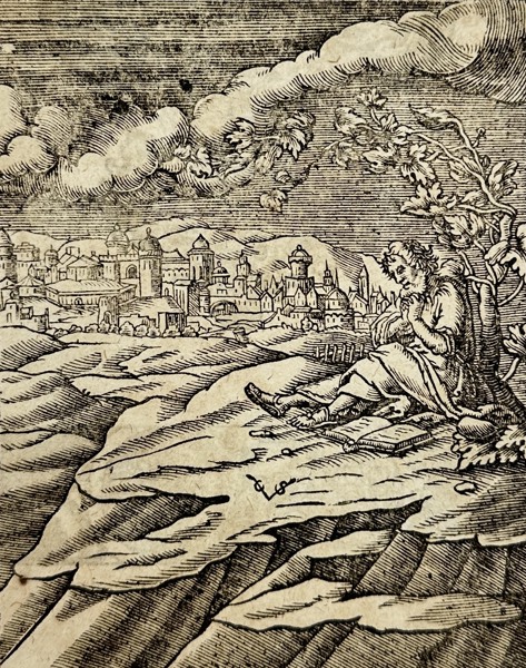 Christoffel van Sichem (II) - Jonah sits under the wonder tree overlooking the city of Nineveh - 1648