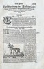Sebastian Münster (1488–1552) – Ram of Sardinia – Woodcut (Circa 1550)
