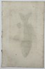 George Shaw (1751–1813) – Large-Scaled Carp – Engraving (c. 1800)