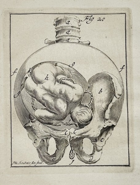 Philibert Bouttats (c. 1650–1731) – The Fetus in Utero, Figure 20 – Engraving (c. 1718)